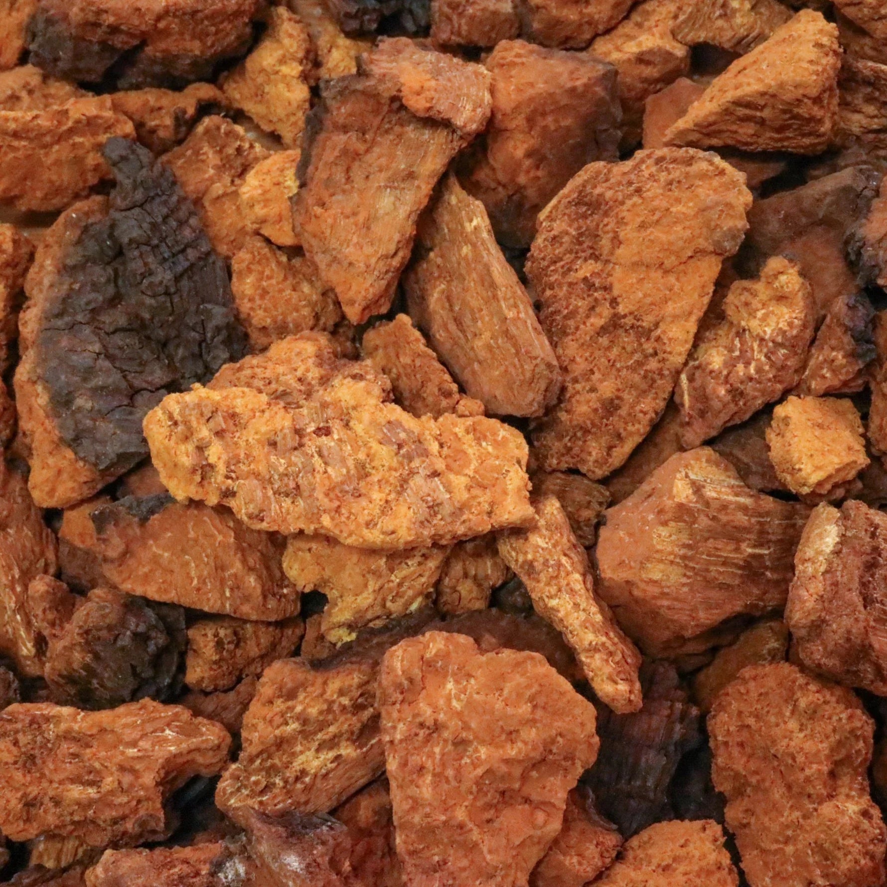 Chaga Chunks (wild) - Totally Natural Skincare