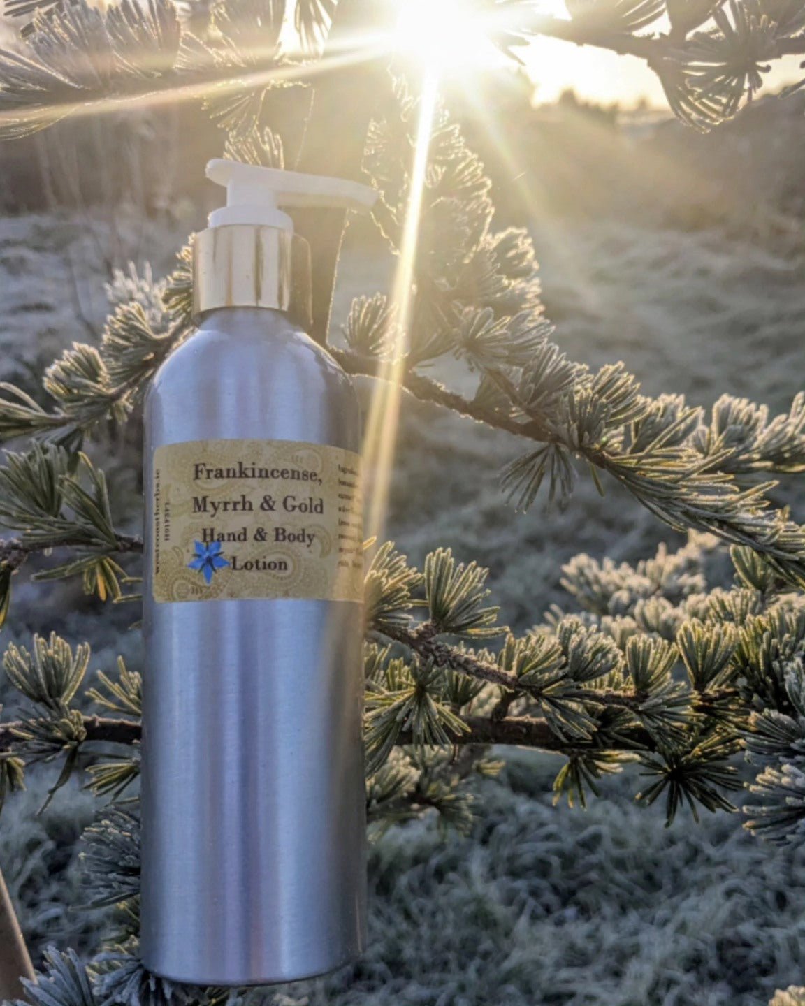Frankincense, Myrrh & Gold Hand & Body Lotion - Totally Natural Skincare