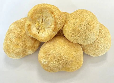 Lion's Mane Whole - Totally Natural Skincare