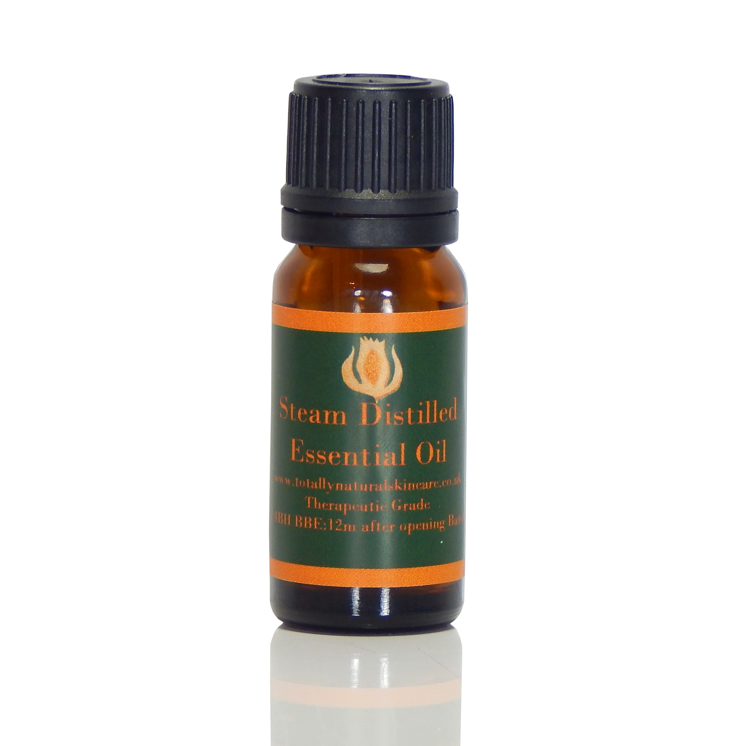 Peppermint Essential Oil (organic) - Mentha Piperita