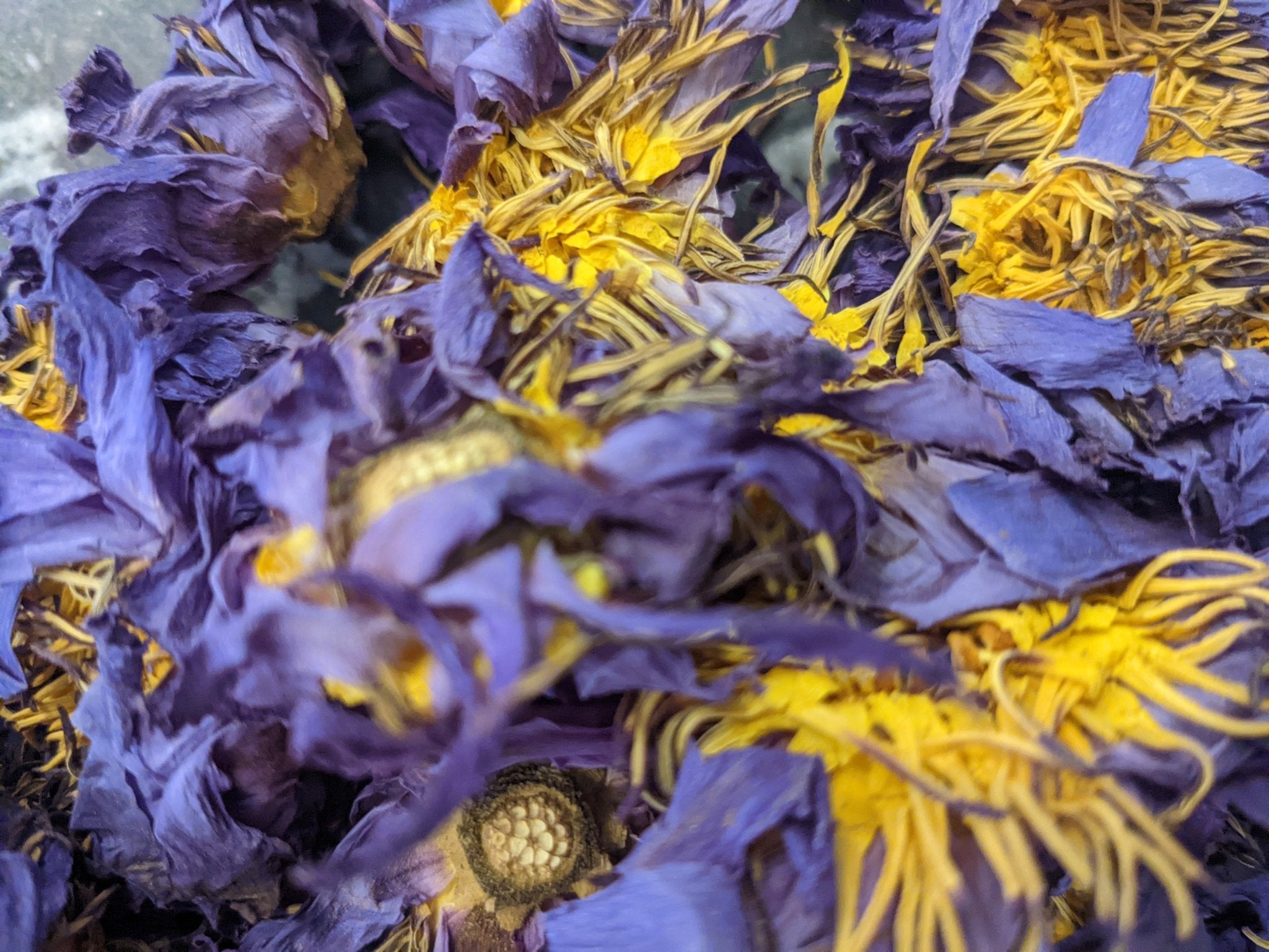Blue Lotus ( hand picked in Sri Lanka) - Totally Natural Skincare