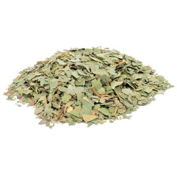 Eucalyptus Leaf - Totally Natural Skincare
