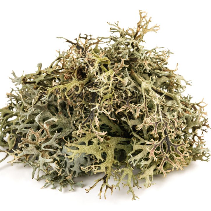 Iceland Moss (powdered) - Totally Natural Skincare
